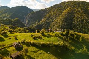 Casa Muchia lui Gîrniță