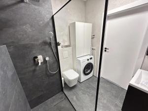 Bochenka Vita Apartment