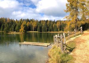 Appartamento LA REGINA un dolce rifugio tra api e natura