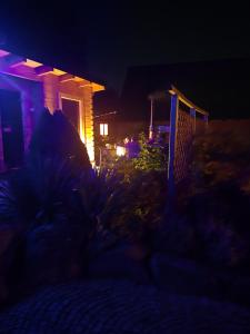 Zielony Zakątek z sauną i jacuzzi Sosnówka