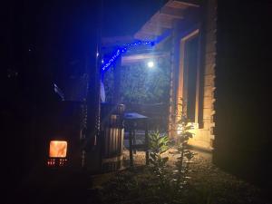 Zielony Zakątek z sauną i jacuzzi Sosnówka