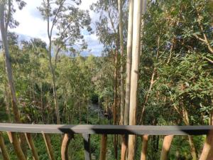 The Serenity River Eco Lodge