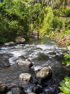The Serenity River Eco Lodge