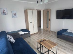 Apartament Stokrotka