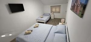Apartman Vision