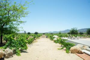 Sublime Valle de Guadalupe home breakfast included