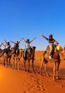 Tinariwen Luxury Camp