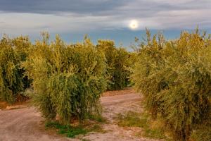 Finca Bella Luna