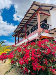 Villa con increíble vista con parking pet-friendly BBQ y Wi-Fi