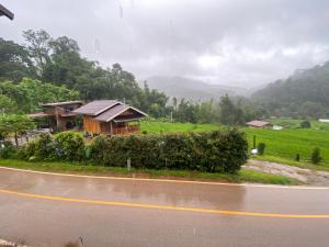 pedo Homestay2