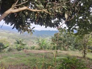 Finca Adamur