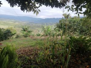 Finca Adamur
