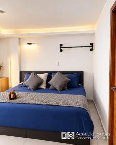 A06 KING PREMIUM Suite Cocina Terraza Companies Work Teams 1-2 PAX