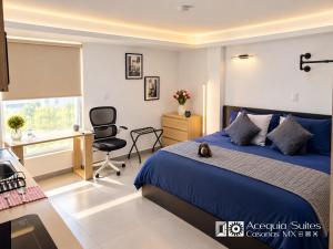 A06 KING PREMIUM Suite Cocina Terraza Companies Work Teams 1-2 PAX