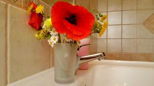 Agriturismo Chiai Francesco img28