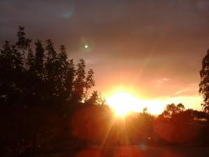 Agriturismo Chiai Francesco img82