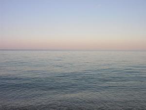 Agriturismo Chiai Francesco img91