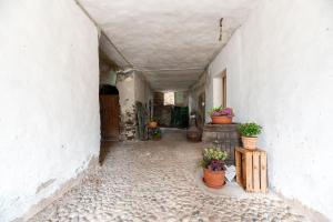 Alla Dogana