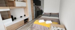 Guest Suite SANI