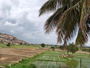 Nings Homestay Hampi