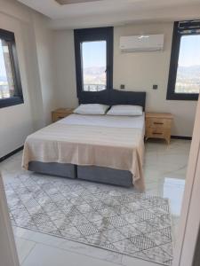 Villa NİDAL