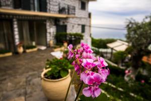 Hotel Villa Nisteri Thassos Greece