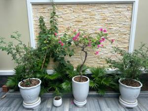 Vạn Xuân Homestay