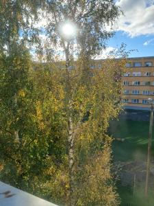 Apartment next to forest