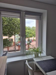 Apartament na Sobieskiego