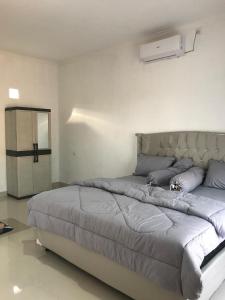 RAI Home stay