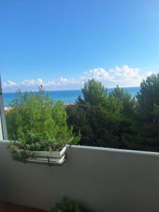 La casa di Sabry