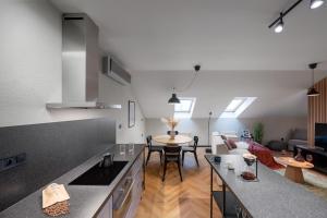 ANTRE 2 podkrovny apartman s klimou dog friendly