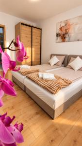 Apartament Kaszmirowy