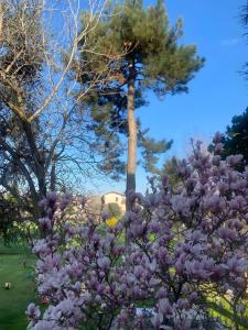 Villa Gabri 25