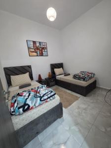 Appartement T3 Rue Burdeau