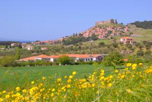 Elea Houses Lesvos Greece