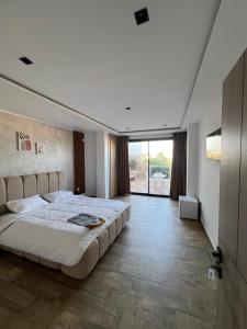 MZ hostel