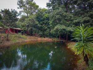 Altitude 3743 - Hostel with Mountain view and Natural pond