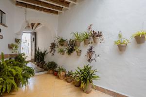 Casa Bodega Triana
