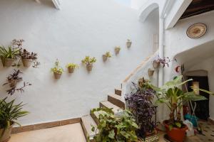 Casa Bodega Triana