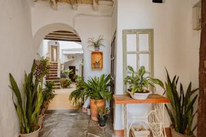 Casa Bodega Triana
