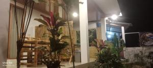green forest homestay