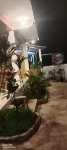 green forest homestay