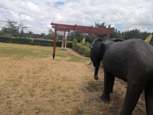 Lores Valley Monduli Arusha