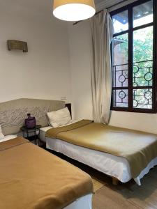 MSC Hostel