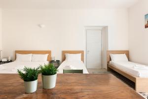 Volturno Apartments Rome Termini