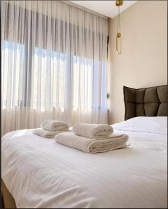Central Tirana Apartment