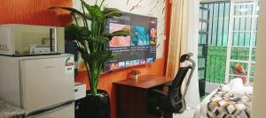 Zipchic Studios