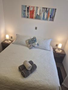 cama matrimonial con baño privado h1