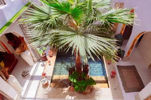 Villa Lenha Maison dhôtes au cœur de la Kasbah